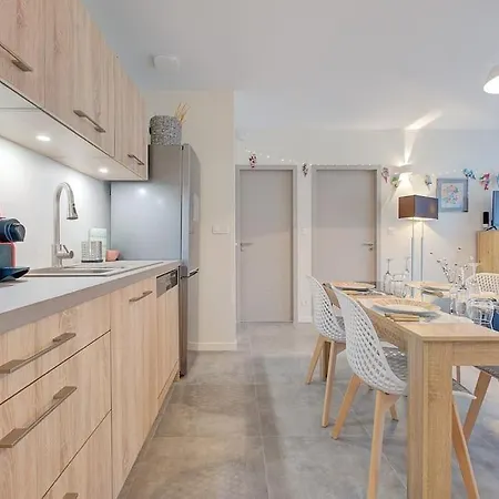 Apartment Raffine Centre 2/3 P. Vue Parc Tours